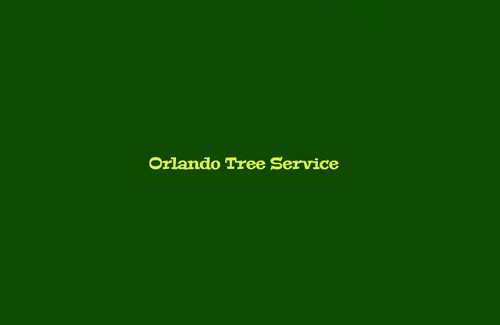 Orlando Tree Service Profile Picture